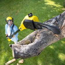 Trusted Lake Tapps, WA Tree Removal and Landscaping Services Experts